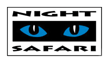 night safari